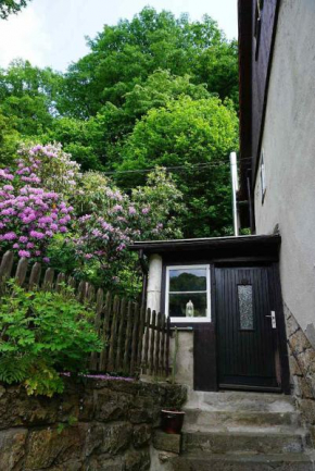 Ferienwohnung im grünen Elbtal